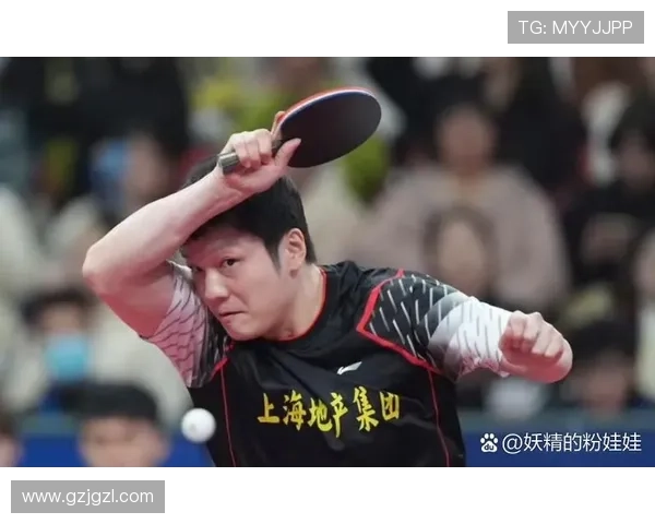 乒乓球热点：解读深圳乒乓球队的反击